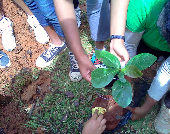 About Prakriya Green Wisdom School